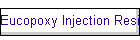 Eucopoxy Injection Resin